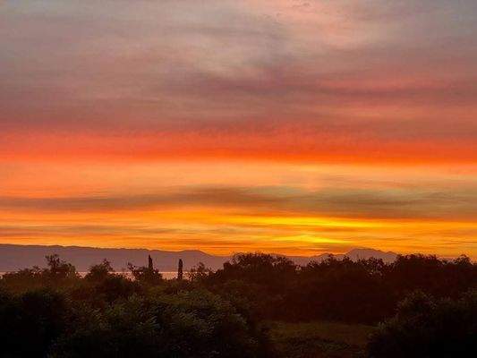 Ostseite Meerblick (2).jpg