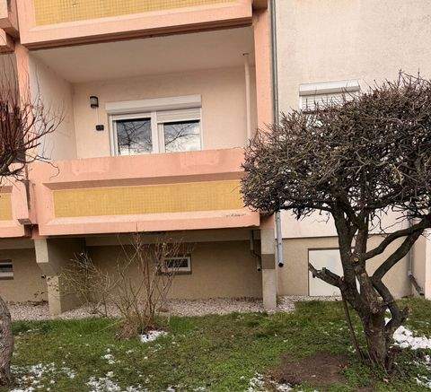 Eilenburg Wohnungen, Eilenburg Wohnung mieten