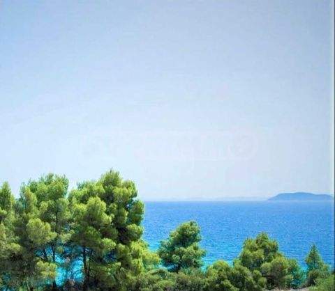 Neos Marmaras Bauernhöfe, Landwirtschaft, Neos Marmaras Forstwirtschaft