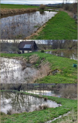 ImmoAgrar_Stadtsteinach_Weiher_02.png