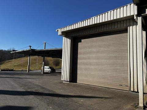 Kapfenstein Halle, Kapfenstein Hallenfläche