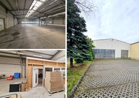 Markkleeberg Halle, Markkleeberg Hallenfläche
