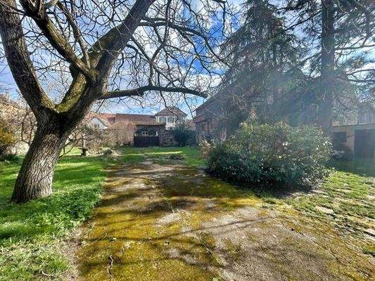 Westansicht Grundstück