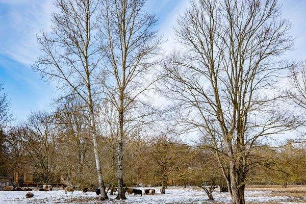 Umgebung Landschaftspark