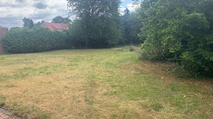 Garten/eventueller Bauplatz