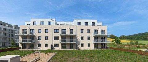 Müllheim Wohnungen, Müllheim Wohnung mieten