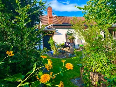 Neuenhagen bei Berlin Häuser, Neuenhagen bei Berlin Haus kaufen