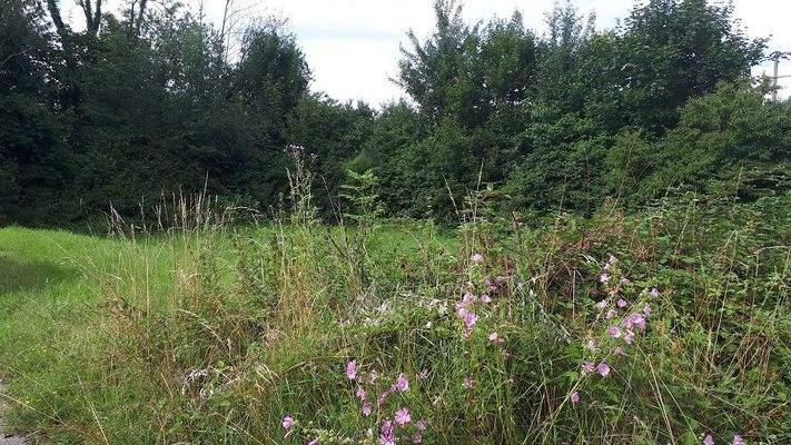 Grundstück Ansicht 2