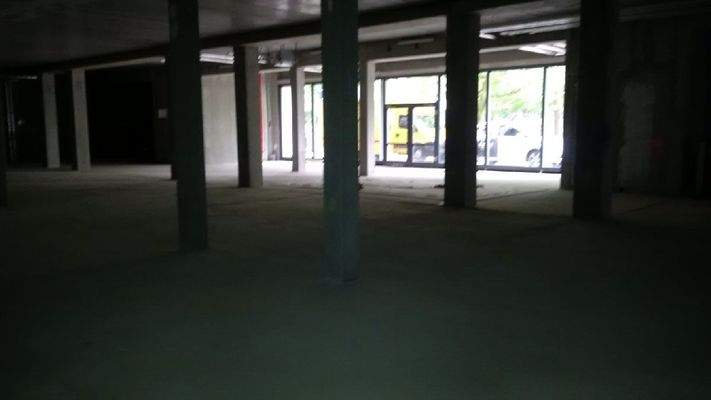 Willroder Forst Innenansicht1