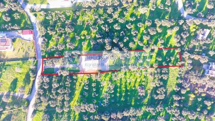 e83a59e4782f45c4bf6c4a7a4b6d0702-original