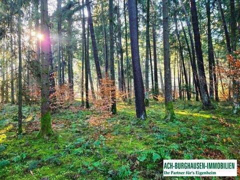 Überackern Grundstücke, Überackern Grundstück kaufen