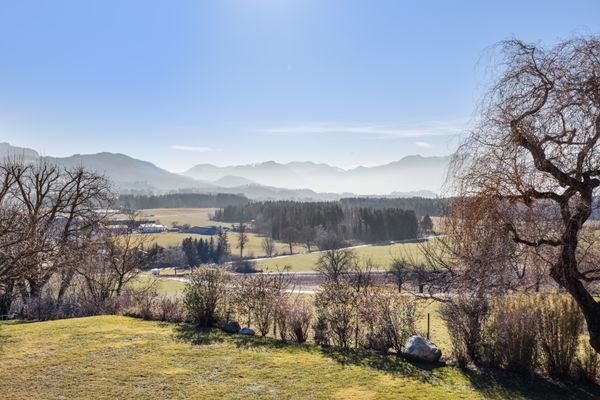 Ausblick