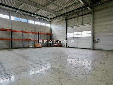 Ergolding Halle, Ergolding Hallenfläche