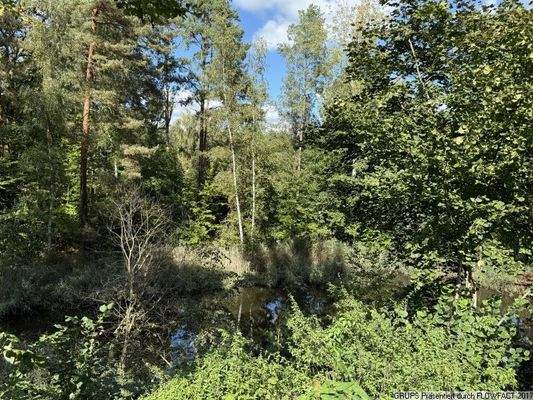 Nachbargrundstück Teich