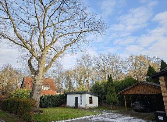 Nördlicher Gartenteil