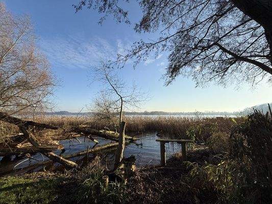 Ausblick zum Schweriner See 3