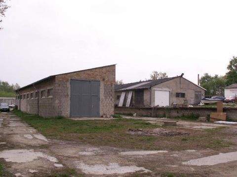 Müncheberg Halle, Müncheberg Hallenfläche