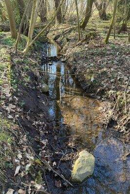Bachlauf am Ende des Grundstücks