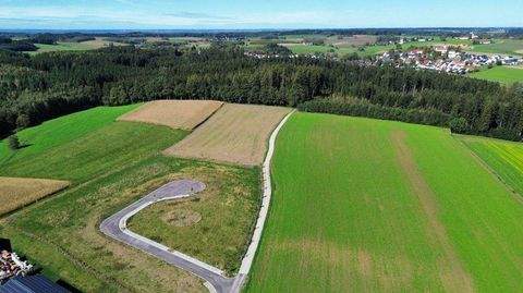 Inning am Holz Industrieflächen, Lagerflächen, Produktionshalle, Serviceflächen