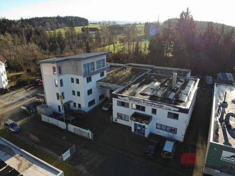 Wangen im Allgäu Halle, Wangen im Allgäu Hallenfläche