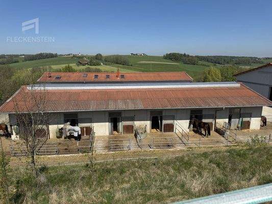 Stall mit Aussenpaddocks