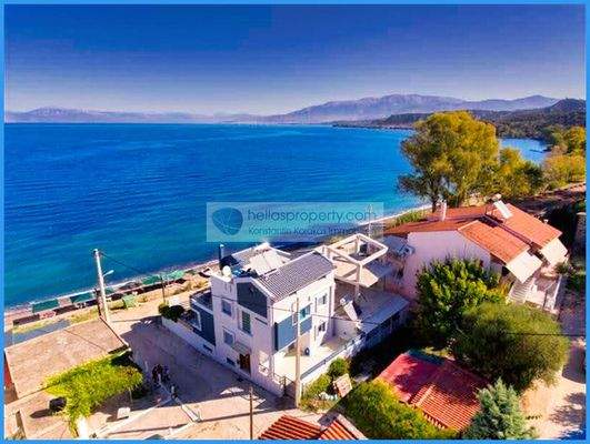 37c8a19dc9424e02a88797c14a956247-original