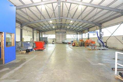 Ramstein-Miesenbach Halle, Ramstein-Miesenbach Hallenfläche