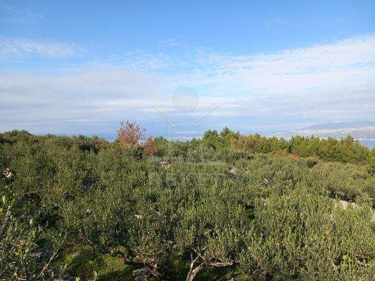 Idyllisches Grundstück auf Brač mit Meerblick