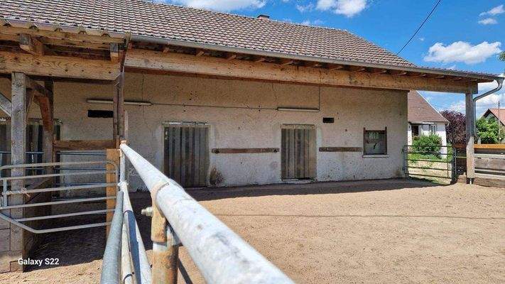 der Allwetterauslauf