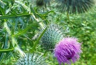 6210de8f-ade8-4281-99bd-db98ad