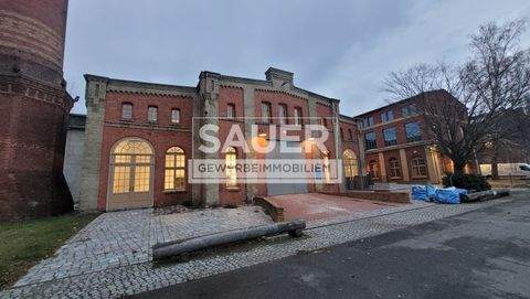 Berlin Halle, Berlin Hallenfläche