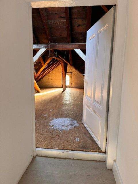 Frankfurt am Main Halle, Frankfurt am Main Hallenfläche