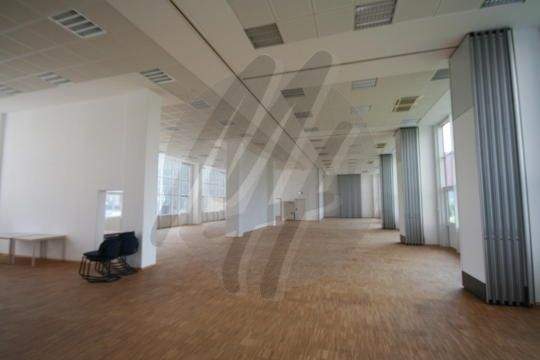 INFOS UNTER: 06171-586000