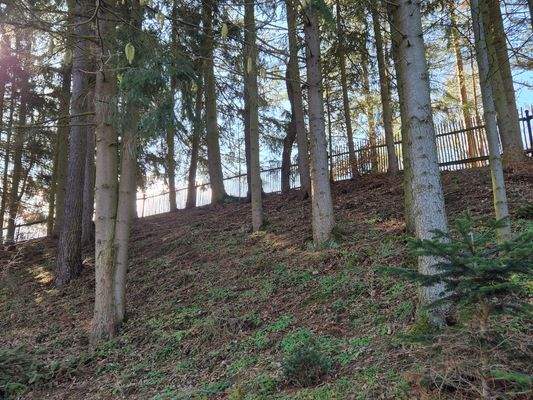 Blick in´s Grundstück