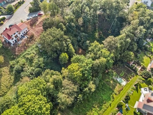 Grundstück mit Waldbestand