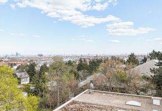 DJI_20250409160625_0041_D