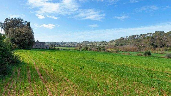 Rustikales Grundstück zum Verkauf in Muro, Mallorca