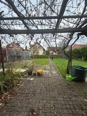 PHOTO-2025-11-18-17-12-47_11