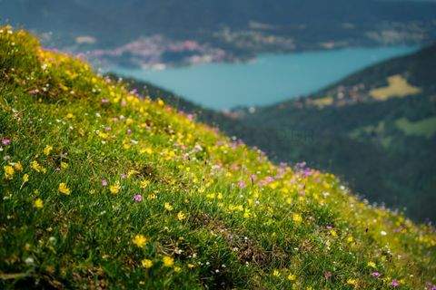 Rottach-Egern Wohnungen, Rottach-Egern Wohnung kaufen