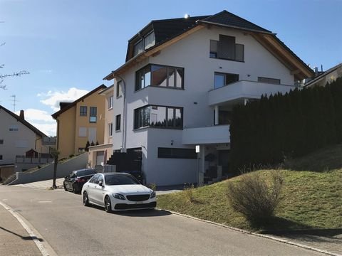 Laufenburg (Baden) Wohnungen, Laufenburg (Baden) Wohnung mieten