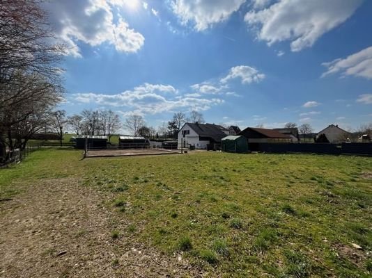 Pferdehof mit Blick nach Süden