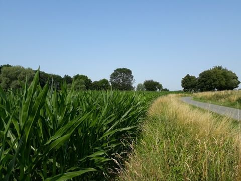 Lippstadt Grundstücke, Lippstadt Grundstück kaufen