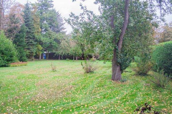 Großes Grundstück 3