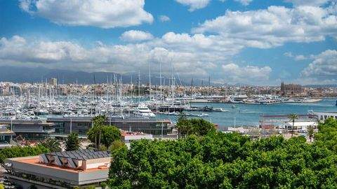 Paseo Marítimo Wohnungen, Paseo Marítimo Wohnung kaufen