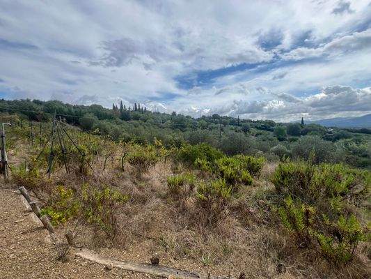 Grundstück Follonica Meerblick