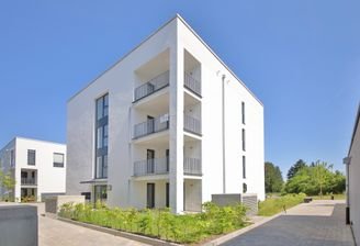 Haus D