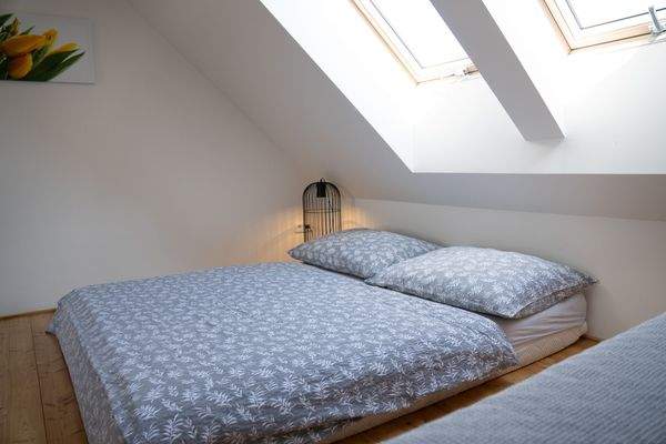 Kopie souboru DSC02099.jpg