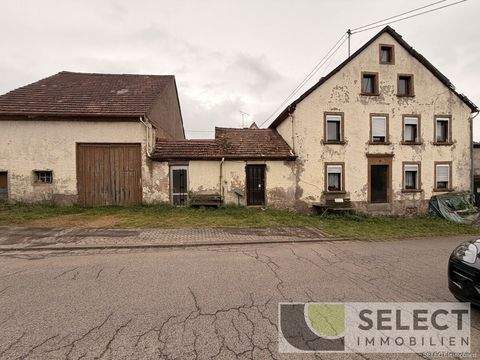 Freisen Häuser, Freisen Haus kaufen