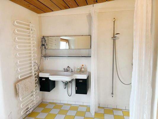 Tageslicht Badezimmer ...