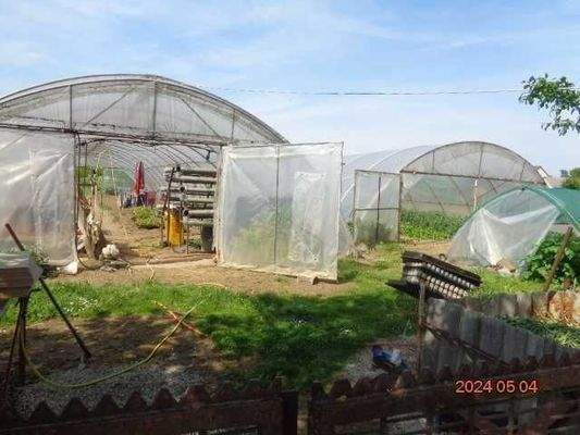 3 Gewächshäuser hinter dem Haus